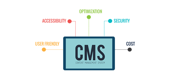 CMS web design in kolkata